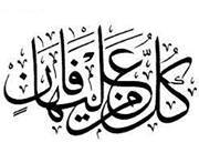 الفتى الطائش