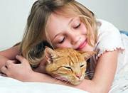 Լուսամփոփի Պես Աղջիկ