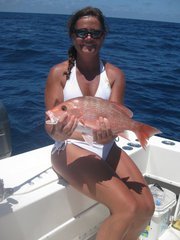 Staci Jenkins