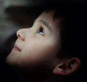 ذوالفقار علي