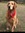 Kasey Mcquitty | 3 comments