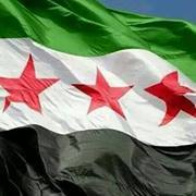 محمود الحلبي