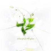 Hany Mohamed