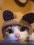 Helen Meow