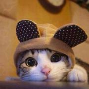 Helen Meow