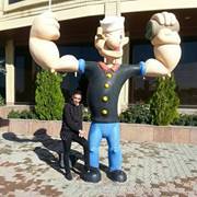 الانيق المبتسم