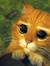 Annable