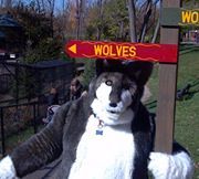 Splinterpaw Wycliffe