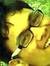 Sagar S...