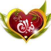 محمود ابو انس