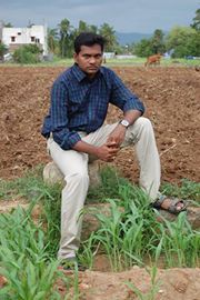 Krishna Kicha