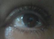 Teuta Gjuladin-hellon