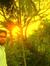 Sunoob Sha