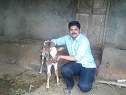 Pradeep Mb