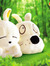 Thanh