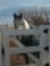Karie Lynn