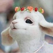 Abdullah Khalid awan