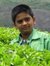 Suraj I...