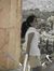Nilofer...