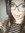 Luv (luvpriscilla) | 3 comments