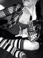 เมลิสา การไล่ล่า