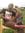 Aeron Sims