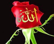 Islam Noor
