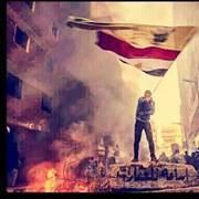 Tamer Mourad