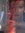 Lisa Lacey | 2 comments