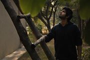 Hassan Arif