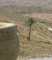 عبدالرحمن حريب