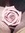 Beth