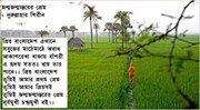 নুরুন্নাহার শিরীন