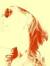 Bree Redwine