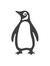 Penguin...