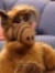 Emmet B...