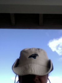 Panthers Hat