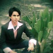 তানযীন্ তমকিন