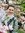 Dasha B...