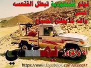 محمد الثلايى