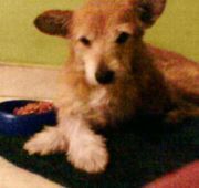 Estefanía Garcia gonzalez