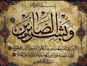 Mohammad Shawky