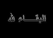 Ayman Elsadany