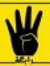 Walid M...