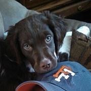 Jamieson E. Fredrick