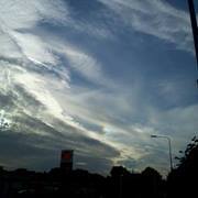 Stephanie Tempest-roe