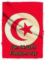 Amr Mohamed