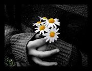 اميرة باخلاقي