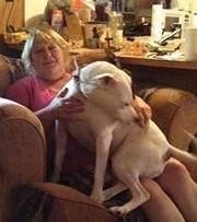 Sherry Abbott denning