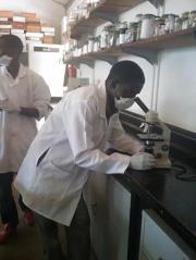 Kasonde Malekani